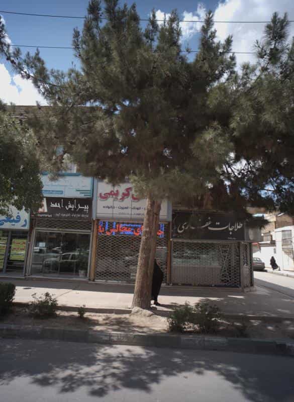 عکس پیرایش احمد در محله شهید قربانی مشهد 