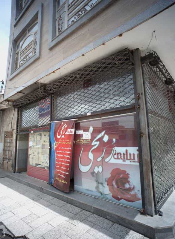 عکس زیبایی رز یخی در محله موعود مشهد 