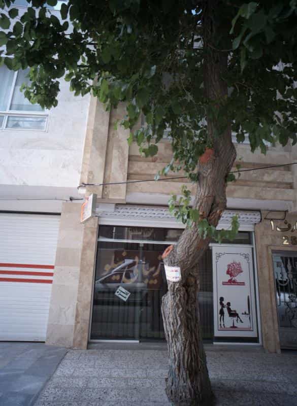 عکس زیبایی نیلو در محله جانباز مشهد 