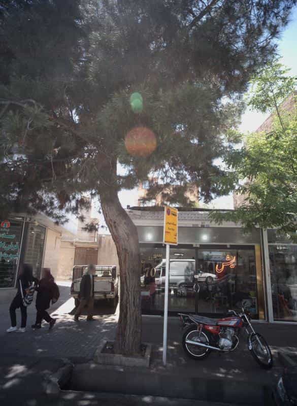 عکس پیرایش سون تی در محله محمد آباد مشهد 