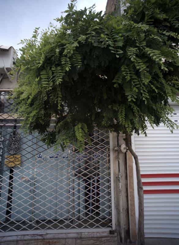 عکس سالن زیبایی امید در شهرک مهر آباد مشهد 