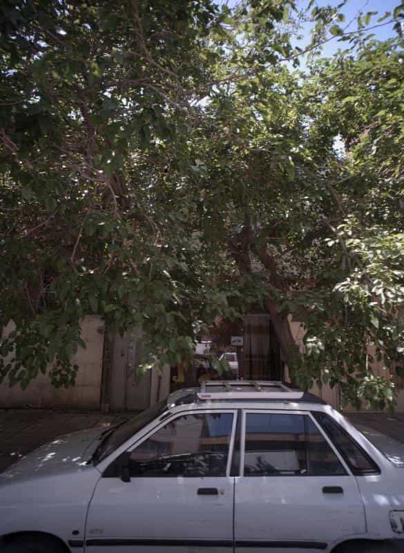 عکس سالن زیبایی پرستو در محله تلگرد مشهد 