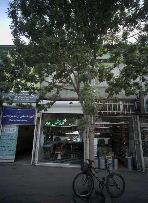 عکس آرایش بهار در محله امام رضا مشهد 