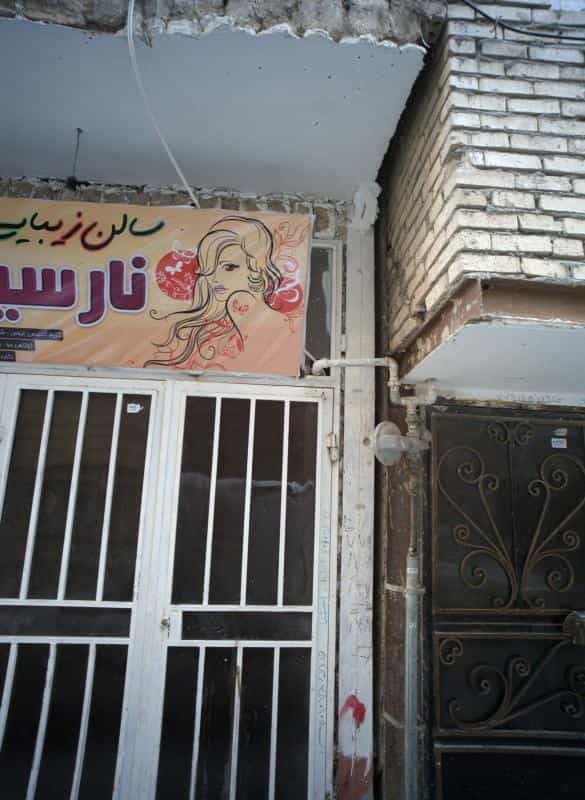 عکس نارسیس در محله خاتم الانبیا مشهد 