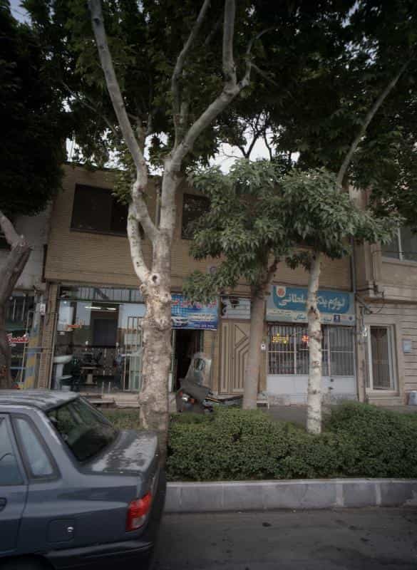 عکس پیرایش امیر در محله پایین خیابان مشهد 