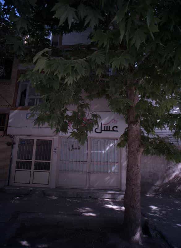عکس زیبایی عسل در کوی امیرالمومنین مشهد 