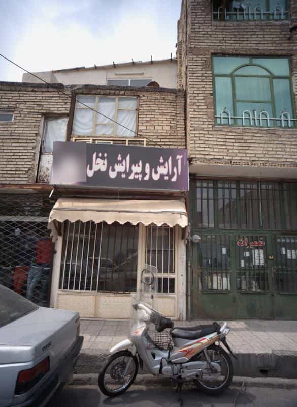 عکس آرایش و پیرایش نخل در محله فاطمیه مشهد 