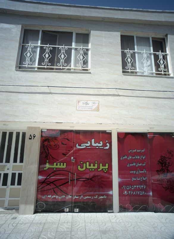عکس زیبایی پرنیان سبز در محله زرکش مشهد 