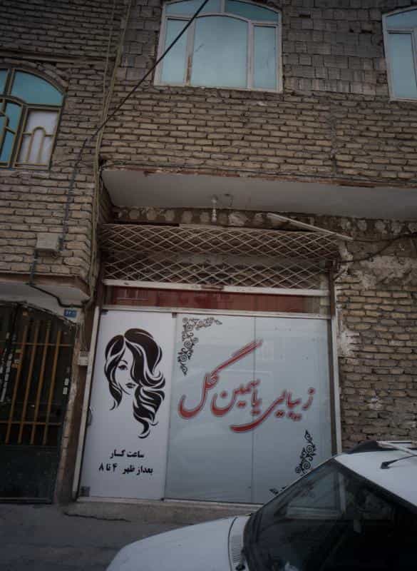 عکس زیبایی یاسمین گل در محله ایثارگران مشهد 