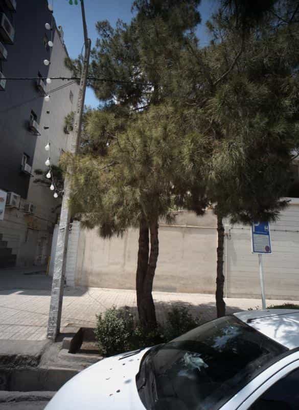 عکس زیبایی نقش آفرین در محله فرامرز عباسی مشهد