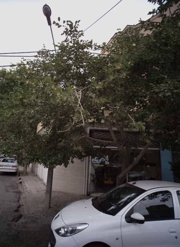 عکس آرایش نادری در محله مجد مشهد 