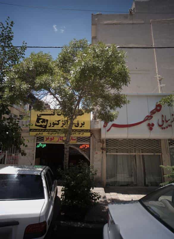 عکس زیبایی گلچهره در آب و برق خراسان رضوی