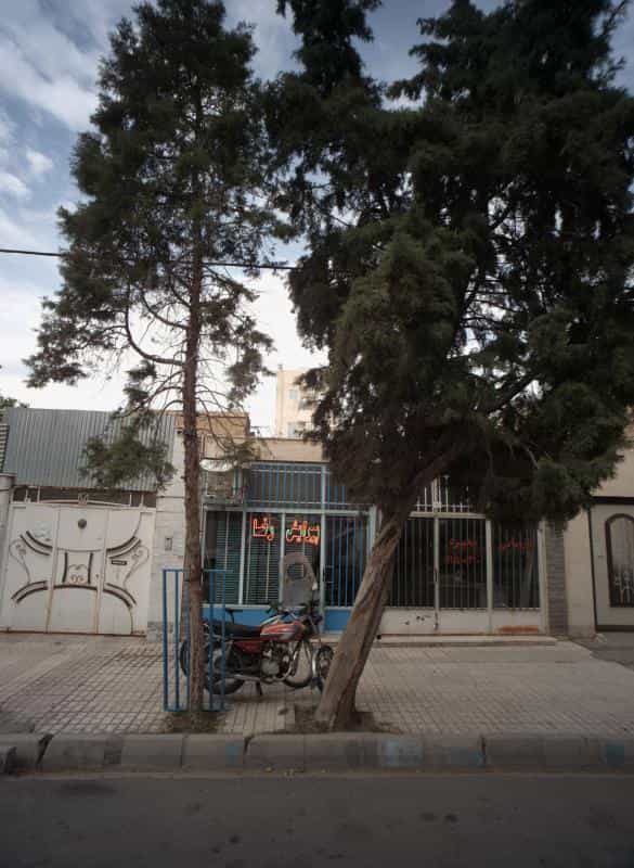 عکس پیرایش رضا در گاز مشهد