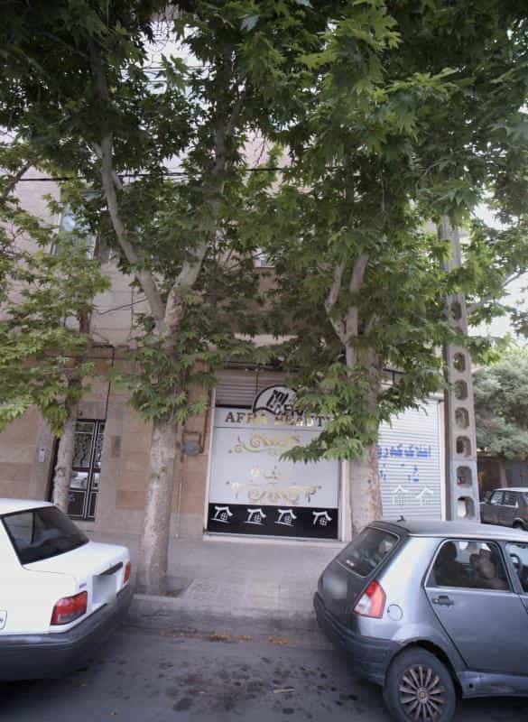 عکس زیبایی افرا در حضرت ابوطالب مشهد