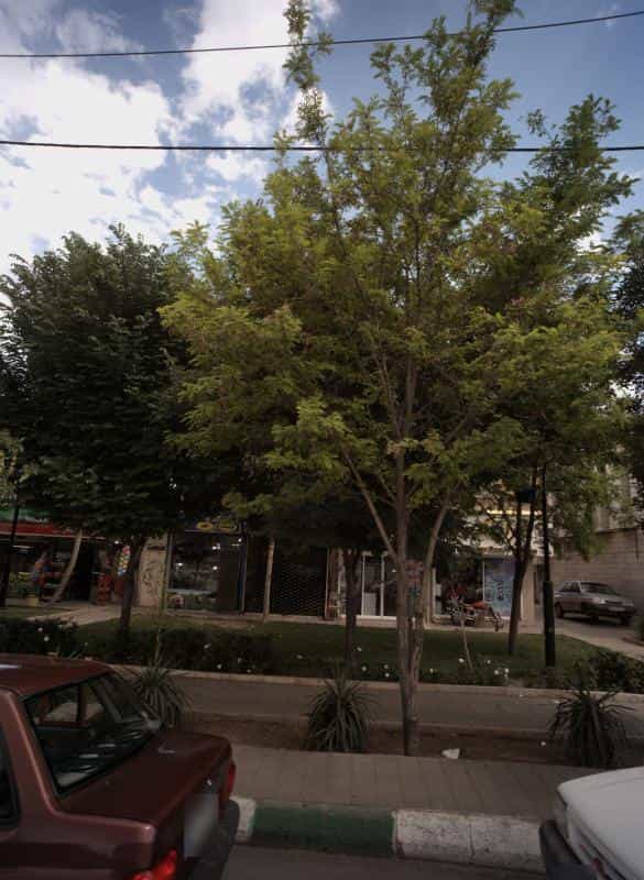 عکس آرایشگاه در محمد آباد مشهد