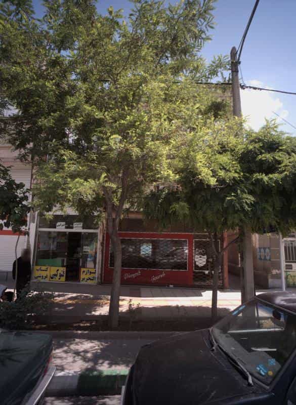 عکس پیرایش جزیره در شهید معقول مشهد