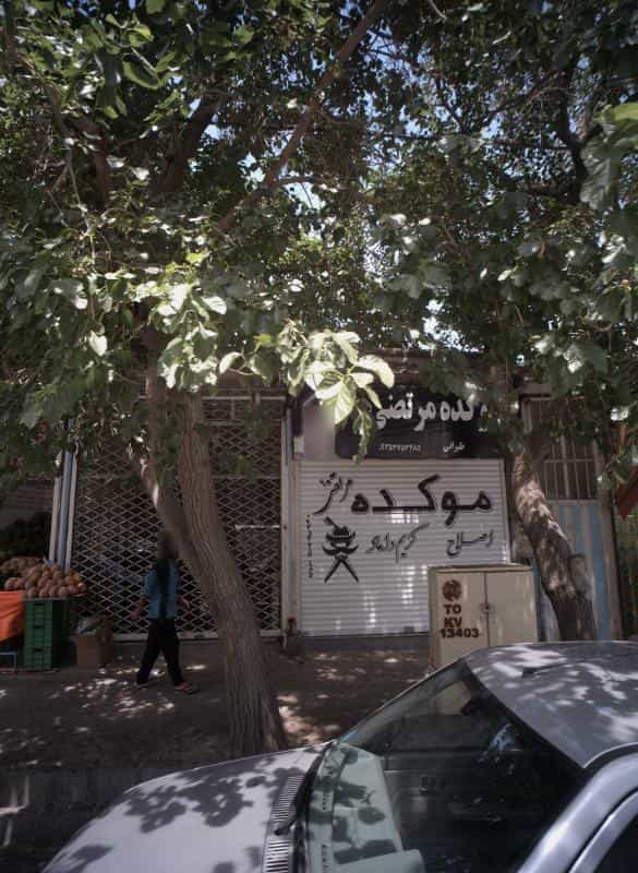 عکس موکده مرتضی در شهید معقول مشهد