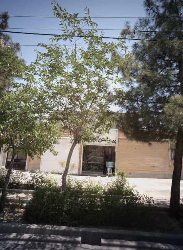 عکس پیرایش ایتالیا در شاهد مشهد