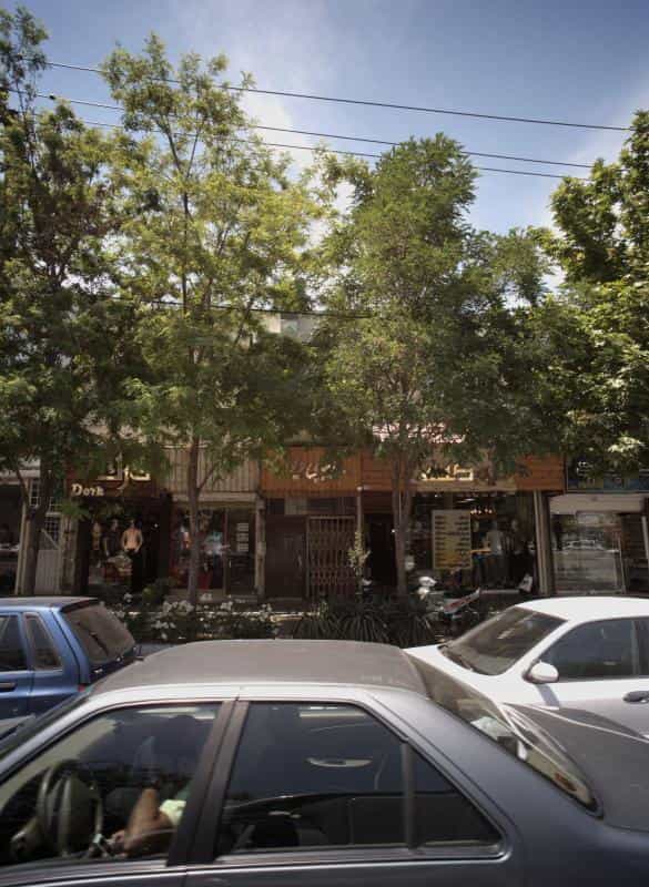 عکس زیبایی دیوا در آزادشهر مشهد