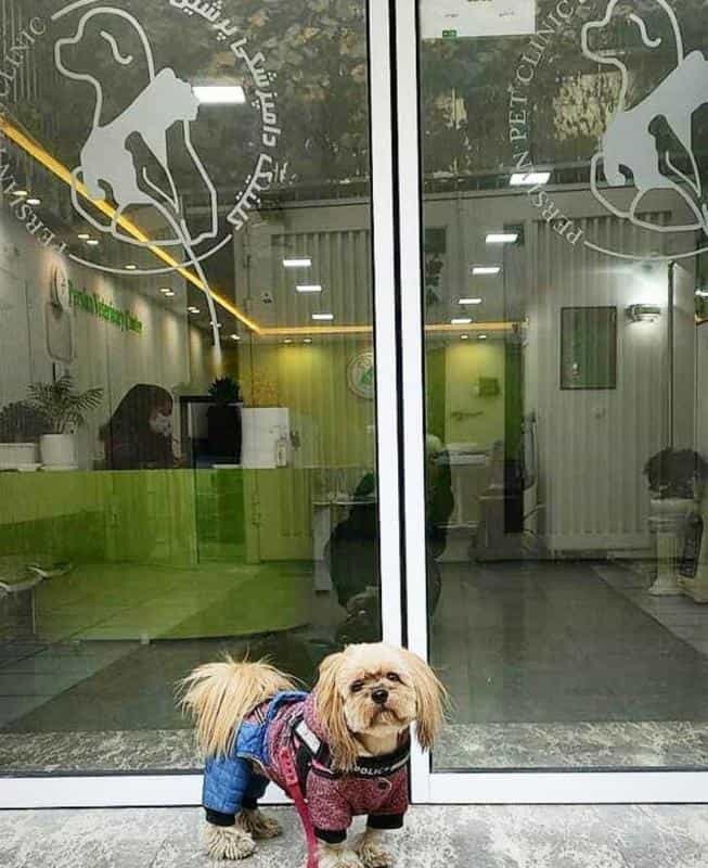 عکس کلینیک دامپزشکی پرشین در باغ دریاچه اصفهان