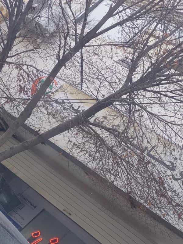 عکس داروخانه دکتر بدری در خواجو اصفهان