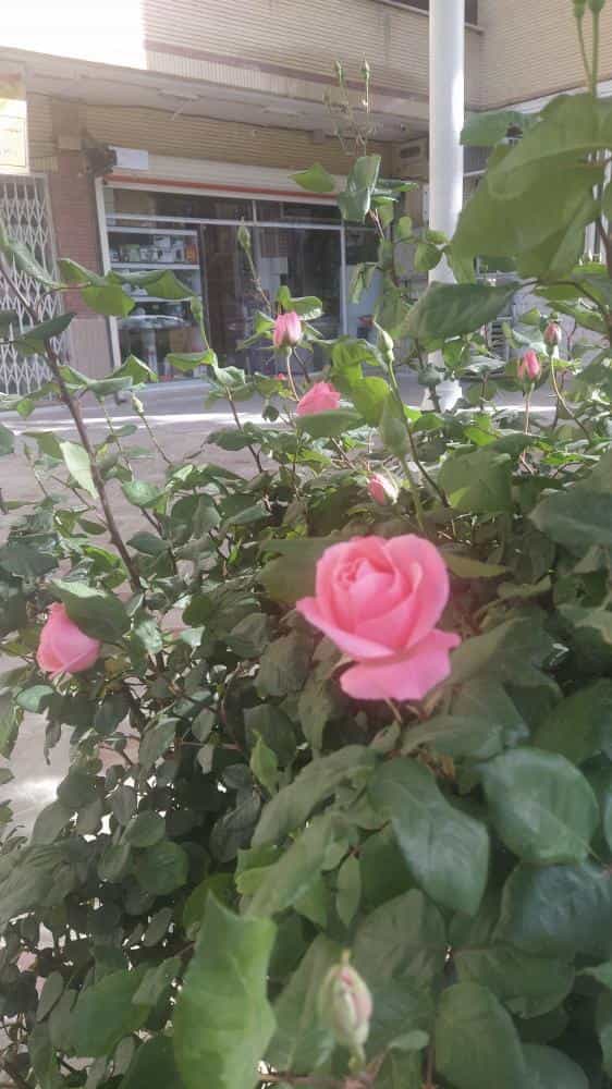 عکس الکتریکی ایرانپور اصفهان