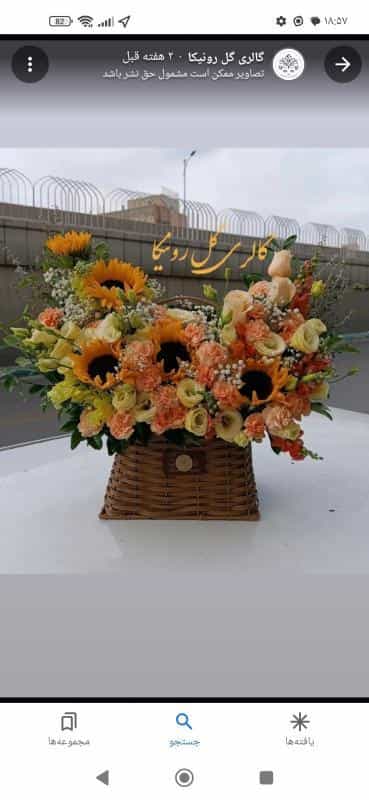 عکس گالری گل رونیکا در مدرس اصفهان