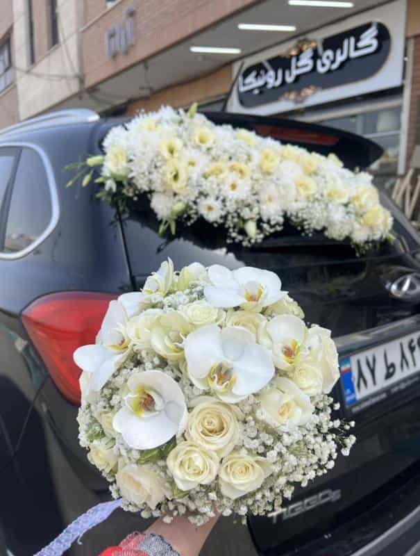 عکس گالری گل رونیکا در مدرس اصفهان