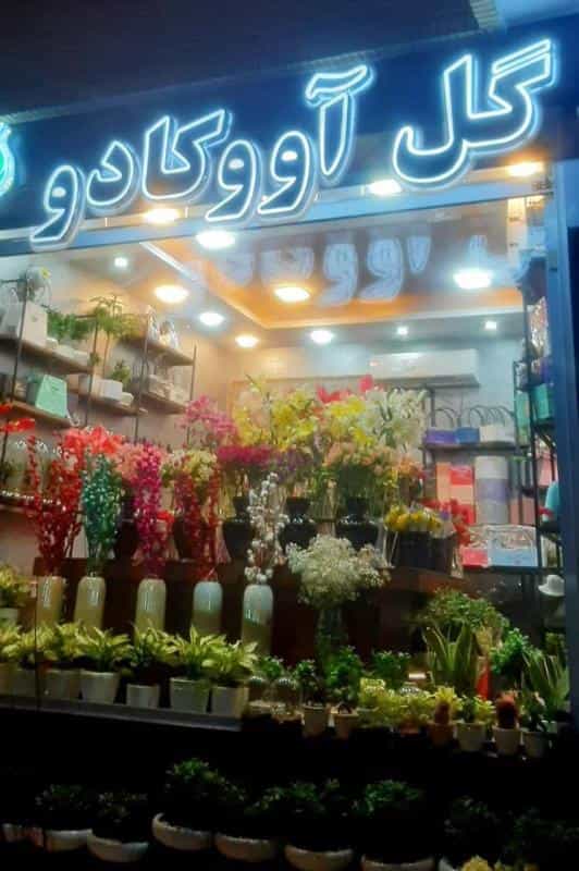 عکس گلفروشی گل آووکادو در شیخ صدوق اصفهان