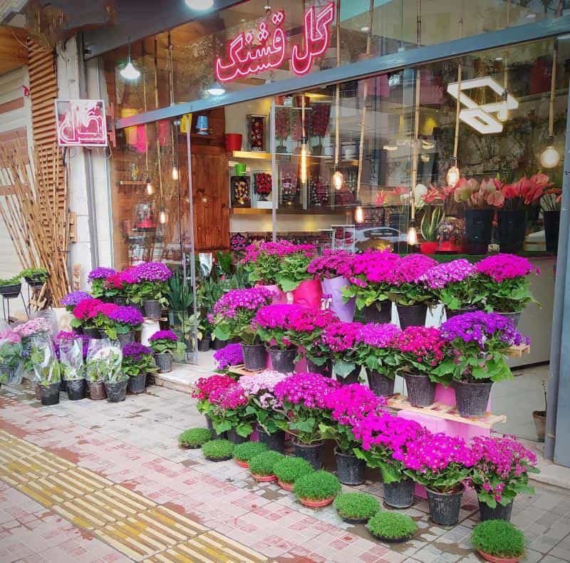 عکس گل قشنگ اصفهان در عسگریه اصفهان