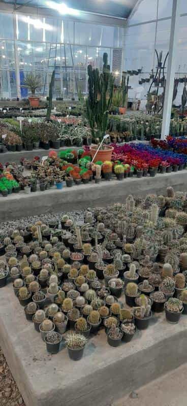 عکس گل فروشی تاج اصفهان