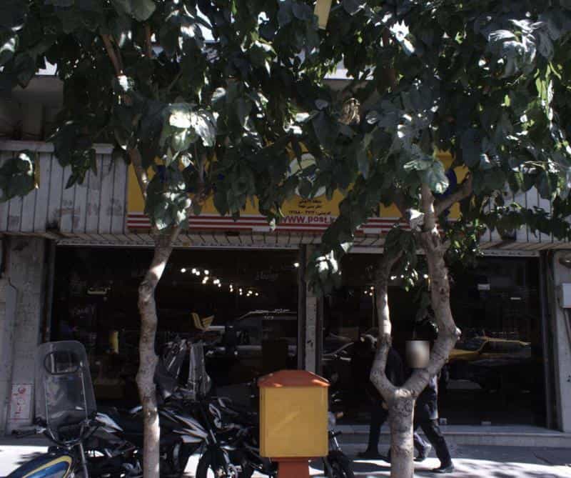 عکس پست در شکوفه