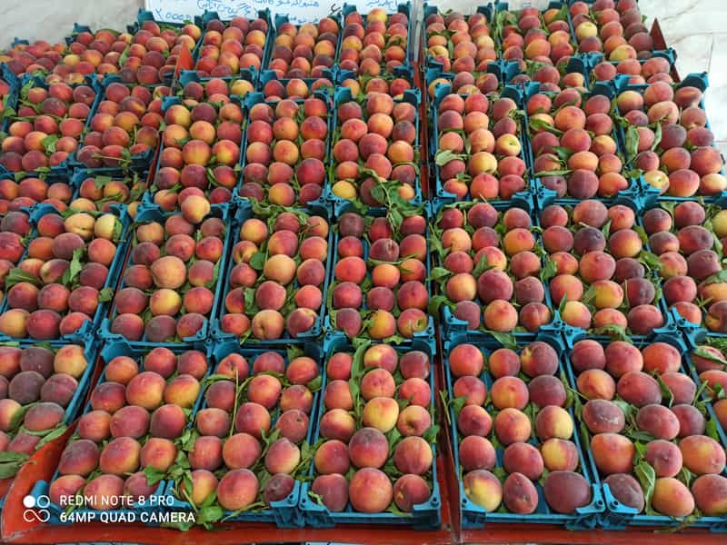 عکس میوه فروشی خسروی در پزوه اصفهان