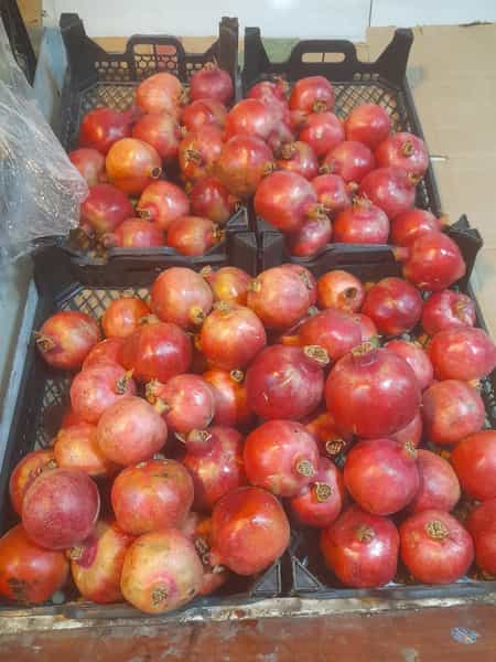 عکس میوه فروشی ابدال در محمود آباد اصفهان