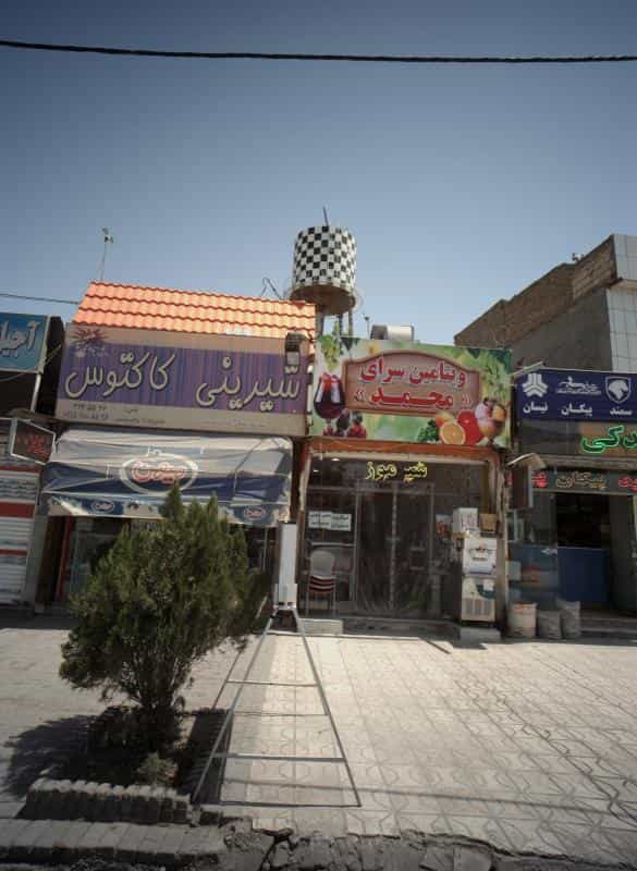 عکس شیرینی کاکتوس در سیس آباد مشهد
