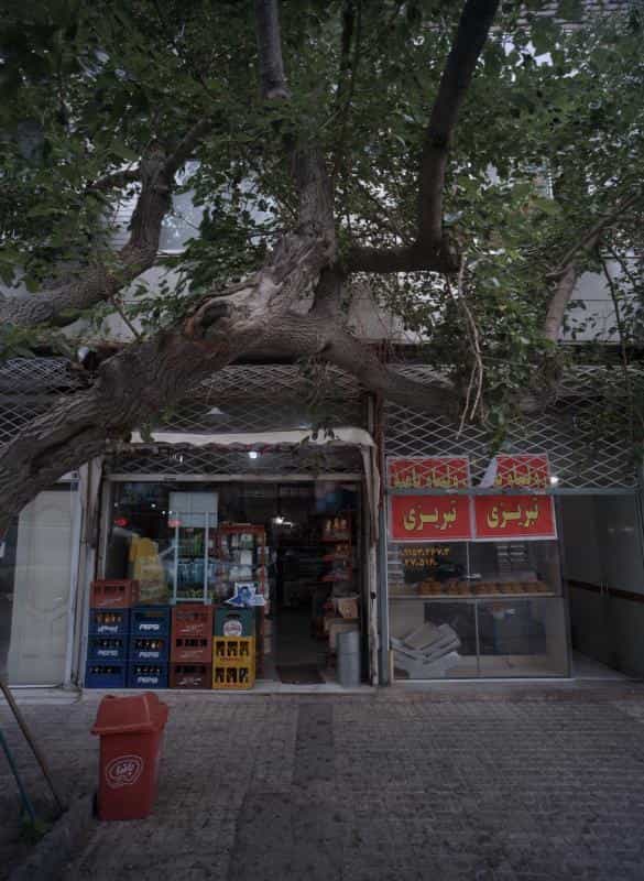 عکس زولبیا بامیه تبریزی در فاطمیه مشهد
