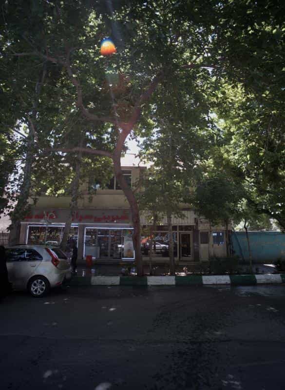 عکس شیرینی سرای شاخه نبات در کوهسنگی مشهد