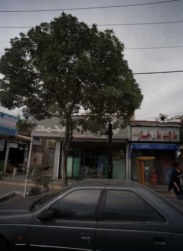 عکس شیرینی سرای محمد در هنرور مشهد