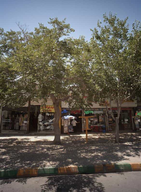 عکس آبمیوه و بستنی در خواجه ربیع مشهد