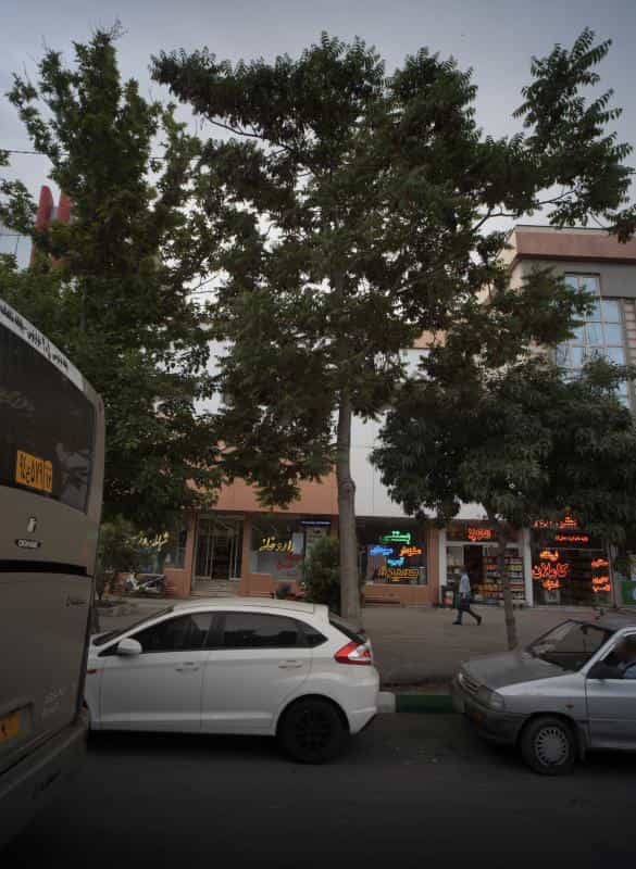عکس بستنی حمیدفر در کوشش مشهد