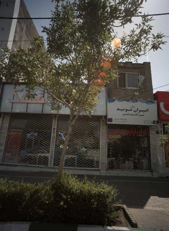 عکس آبمیوه تمشک در چهارچشمه مشهد