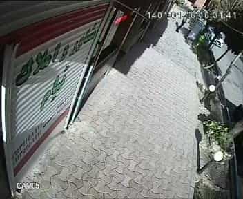 عکس مشاور و املاک تیام احمدی تشنیزی در باغ دریاچه اصفهان