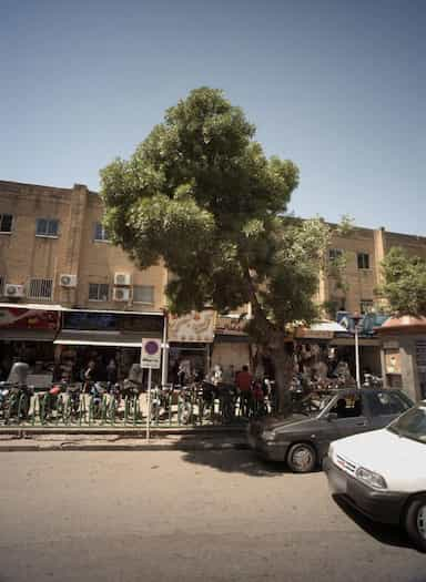 آبمیوه بستنی در عنصری مشهد