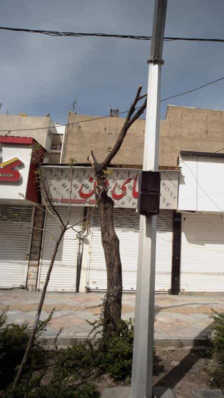 عکس مای فون در نازی آباد تهران