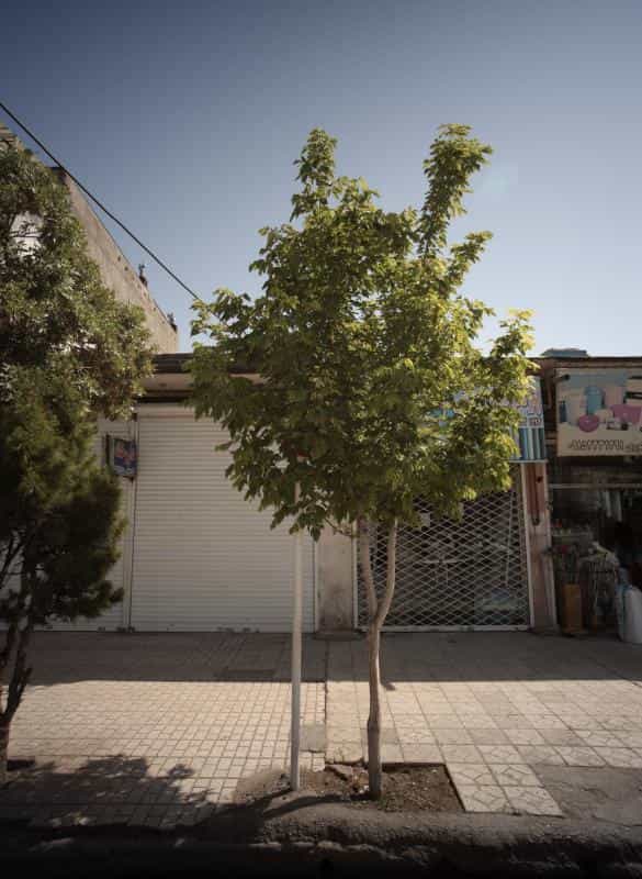 عکس داروخانه دکتر حقیقی در خواجه ربیع مشهد
