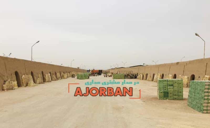 عکس آجربان در باغ زرشک اصفهان