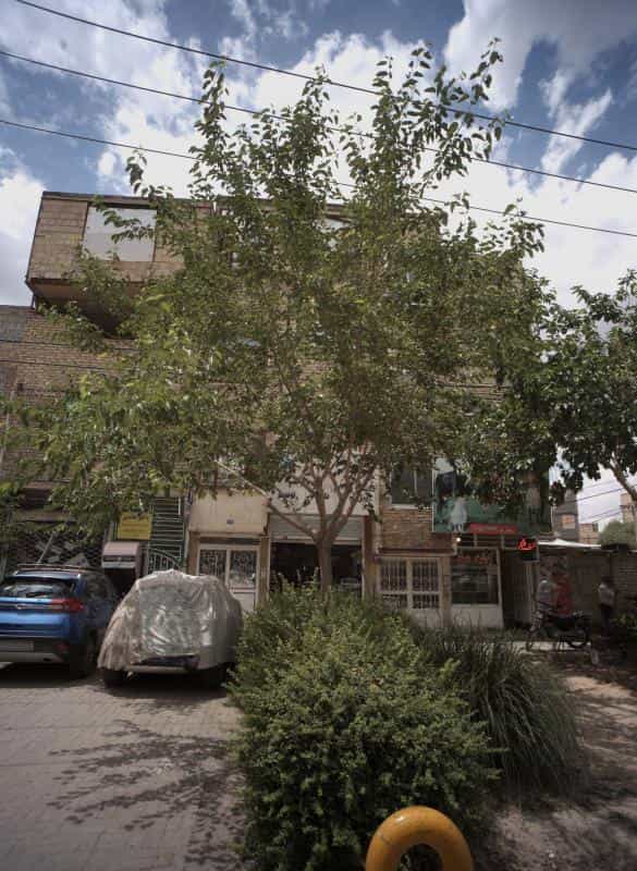 عکس مطب دکتر هائدی در طبرسی شمالی مشهد