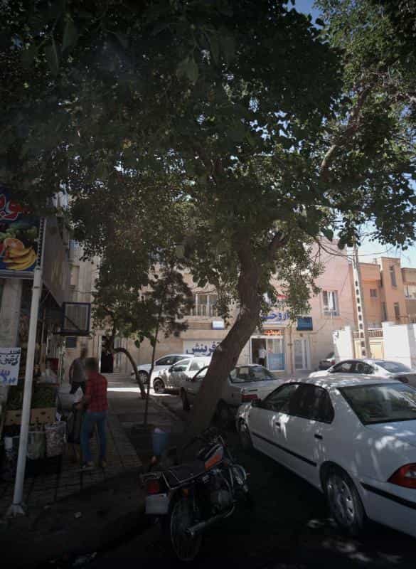 عکس مطب دکتر ماندانا گلابی در احمدآباد مشهد