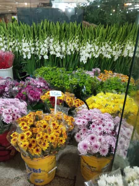 عکس بازار گل و گیاه همدانیان در همدانیان اصفهان