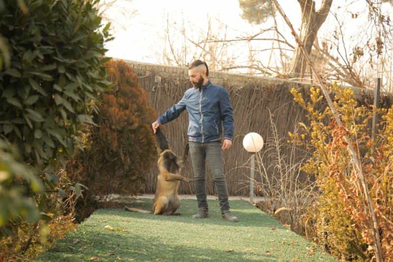 عکس باشگاه تربیت سگ شفق شهرک حسینی کرج